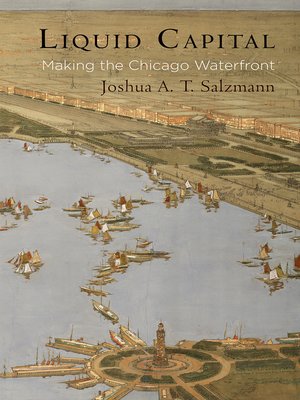 cover image of Liquid Capital